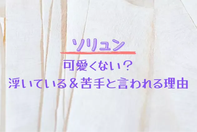 ソリュン　可愛くない　浮いてる