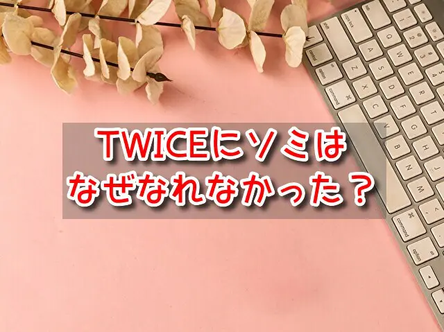 TWICE　ソミ