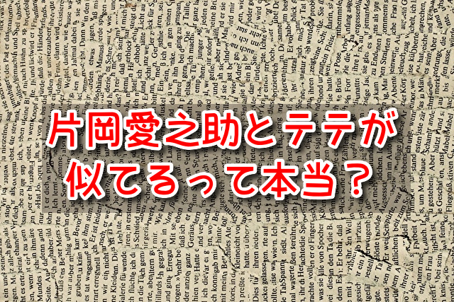 片岡愛之助　テテ　似てる